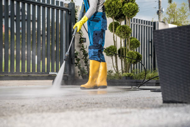 Animal Enclosure Cleaning in Dickinson, TX