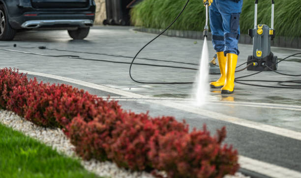 Best Gutter Cleaning  in Dickinson, TX